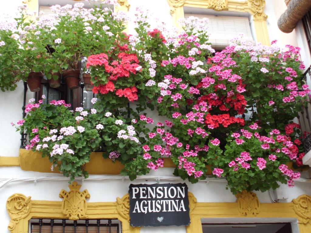 Pension Agustina 科爾多瓦 外观 照片